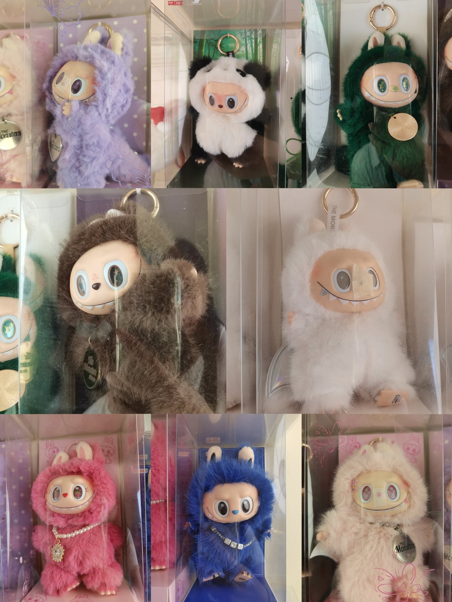 small zimomo family